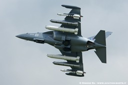 DSC01869_RIAT_2012_RAF_Fairford_(UK)_Airshow_08.07.2012
