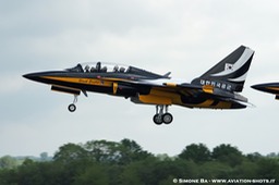 DSC02166_RIAT_2012_RAF_Fairford_(UK)_Airshow_08.07.2012