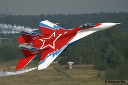 PICT2786crop_MAKS_2007_Zhukovsky_Moscow_Russia_23.08.2007 4