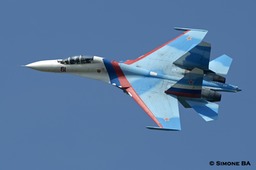 PICT4117_MAKS_2007_Zhukovsky_Moscow_Russia_24.08.2007 4